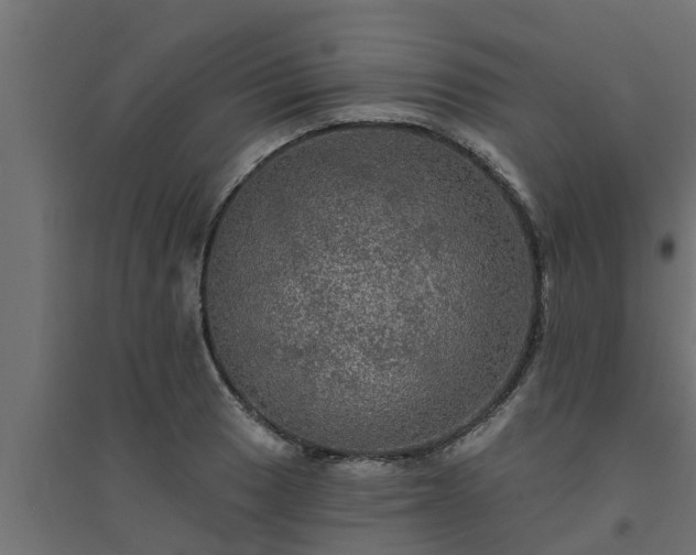 X0000094811033200711241441