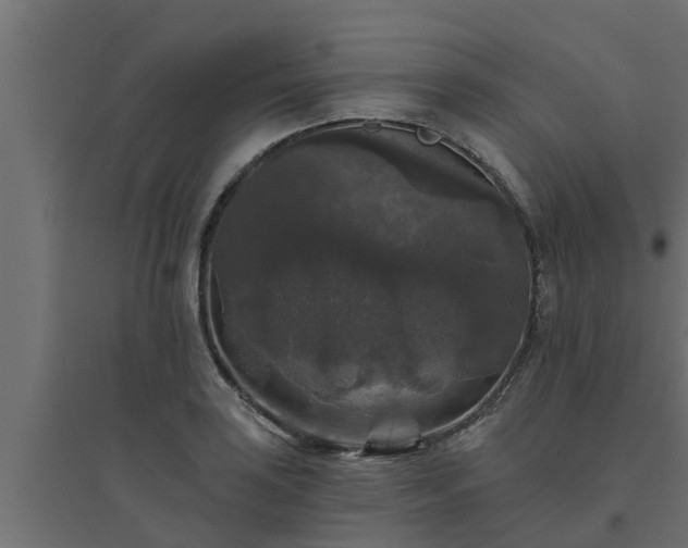 X0000094811035200711241441