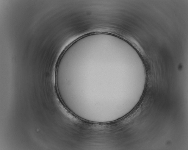 X0000094811036200711241441