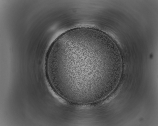 X0000094811038200711241441