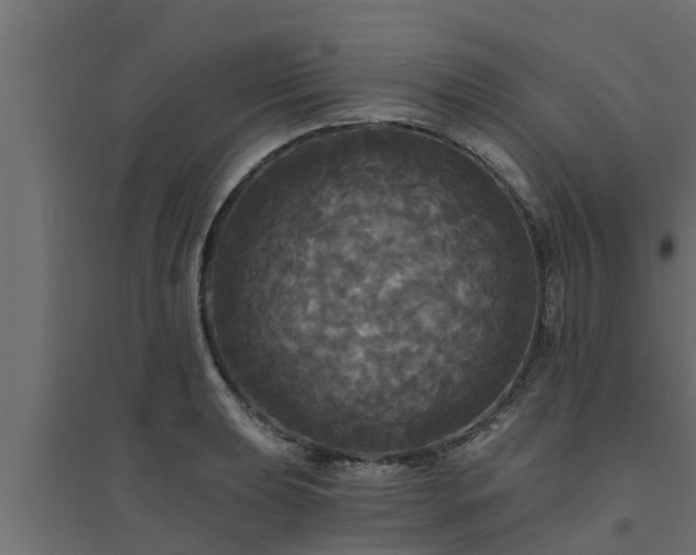 X0000094811039200711241441