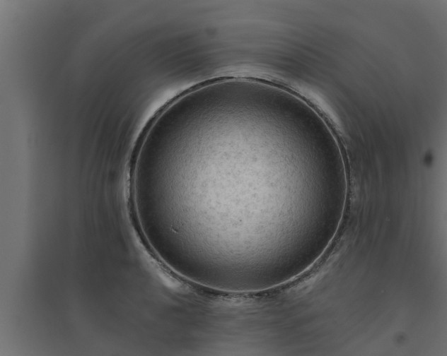 X0000094811040200711241441