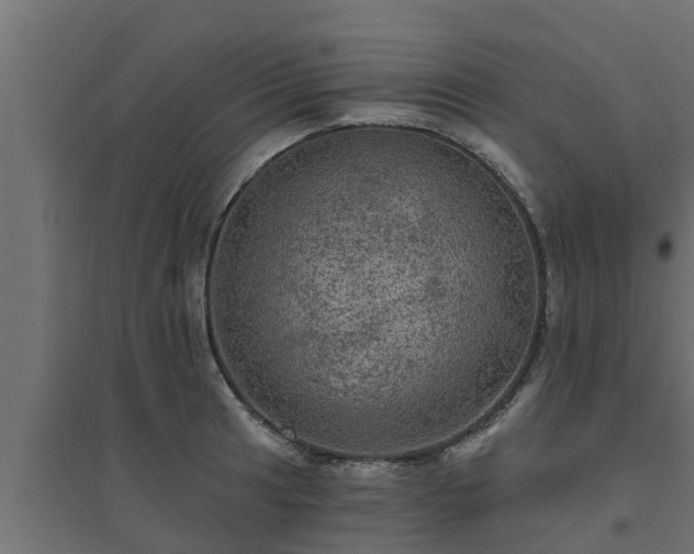 X0000094811041200711241441