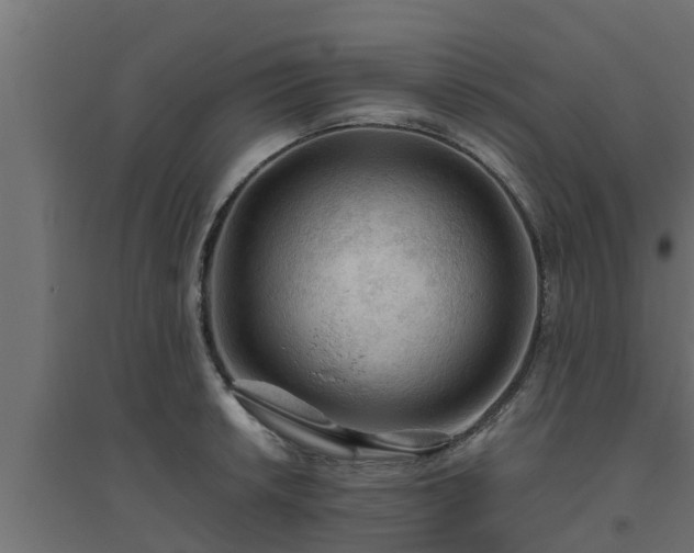 X0000094811042200711241441