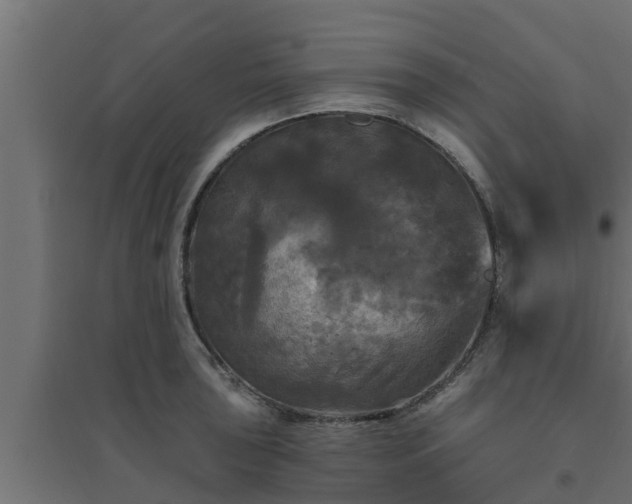 X0000094811043200711241441