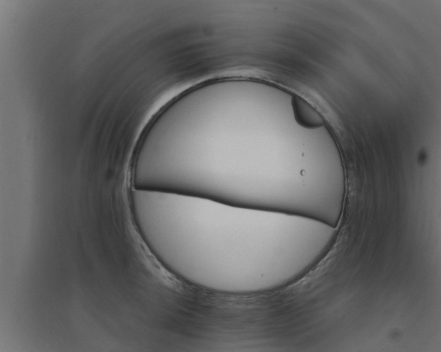 X0000094811044200711241441