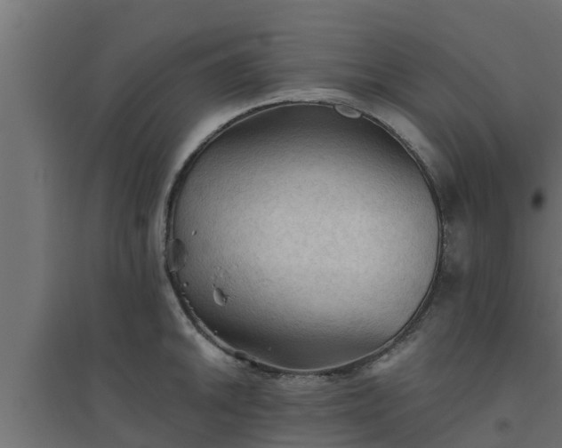 X0000094811046200711241441