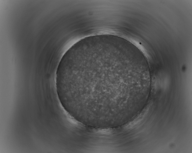 X0000094811047200711241441