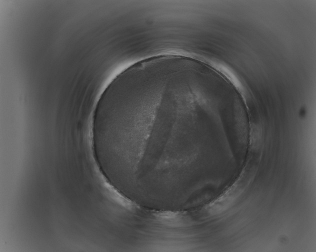 X0000094811048200711241441