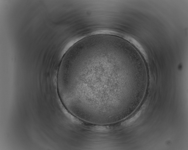 X0000094811049200711241441