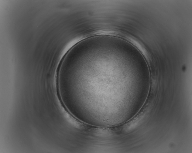 X0000094811050200711241441