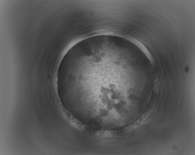 X0000094811051200711241441