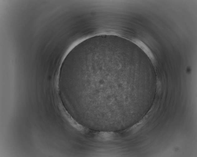 X0000094811052200711241441