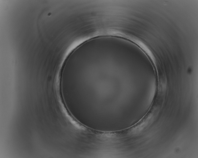 X0000094811053200711241441