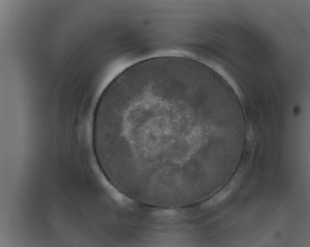 X0000094811054200711241441