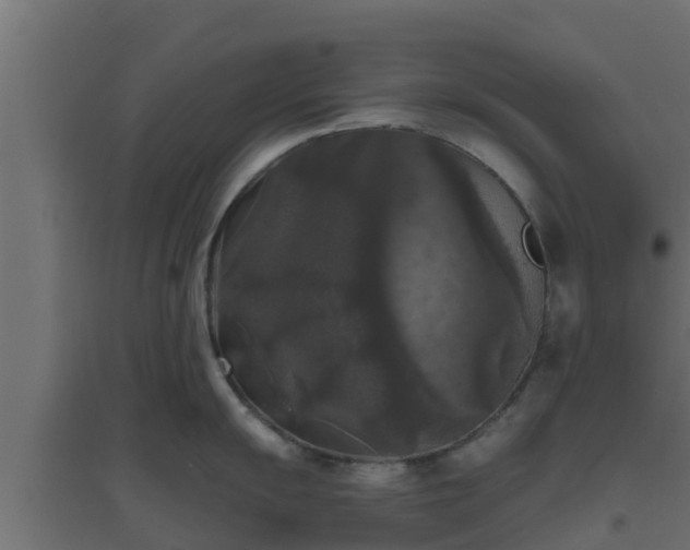 X0000094811055200711241441