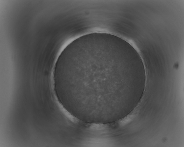 X0000094811056200711241441