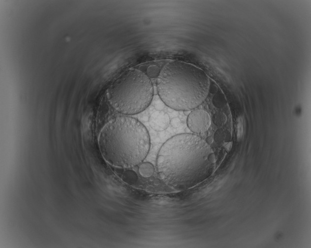 X0000094811059200711241441