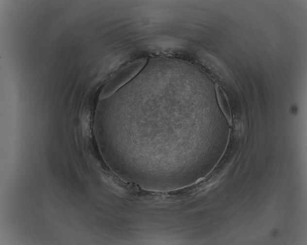 X0000094811060200711241441