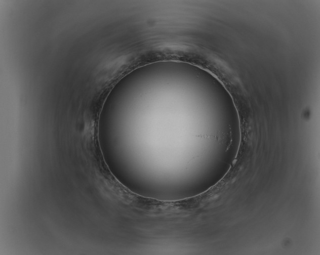 X0000094811061200711241441