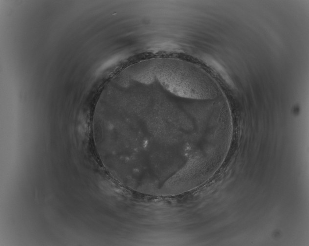 X0000094811063200711241441