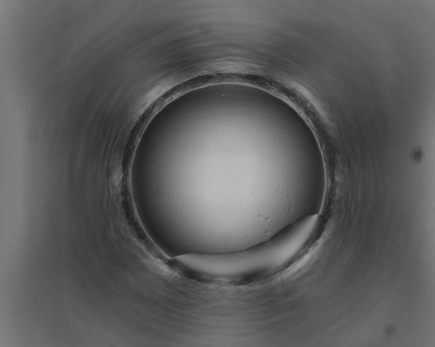 X0000094811065200711241440