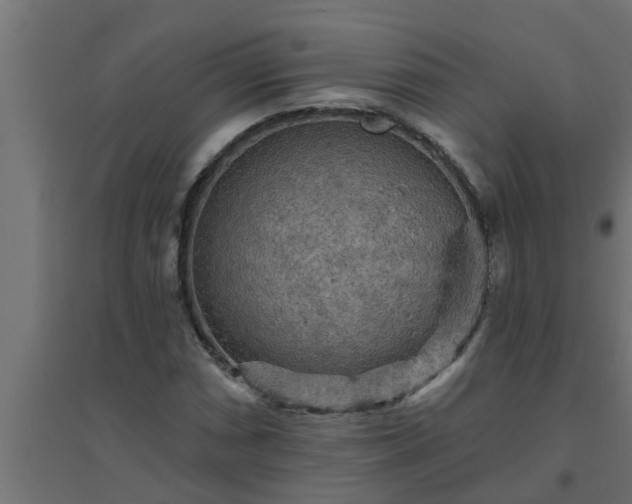 X0000094811066200711241440