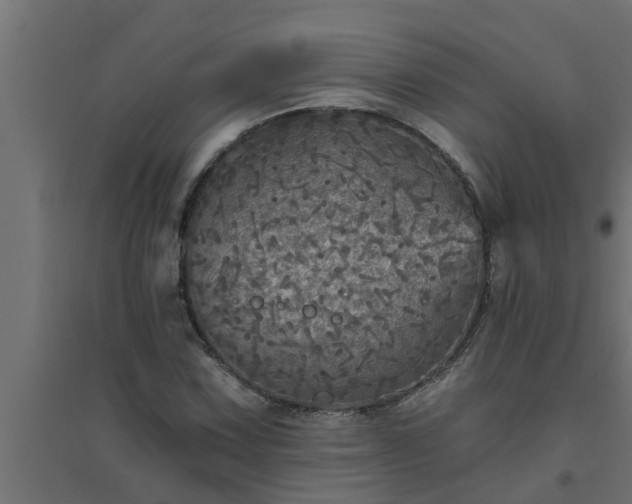 X0000094811067200711241440