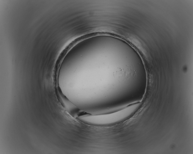 X0000094811068200711241440