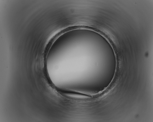 X0000094811069200711241440