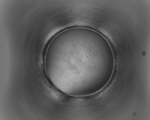 X0000094811070200711241440