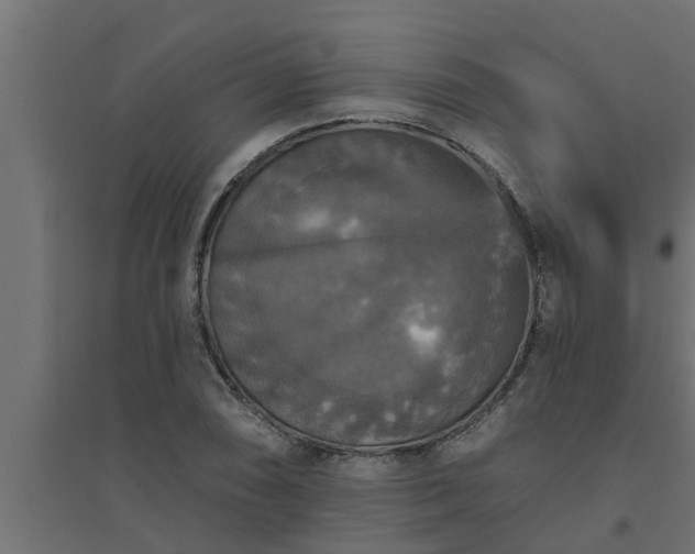 X0000094811074200711241440