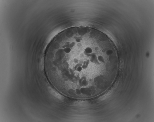 X0000094811075200711241440