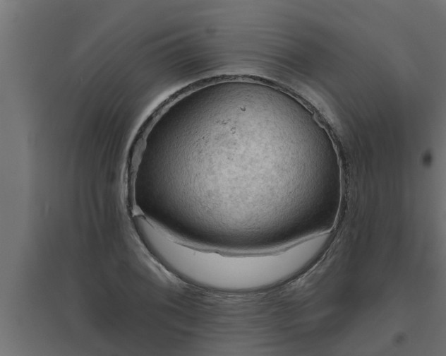 X0000094811076200711241440