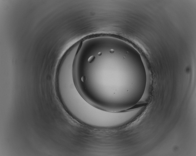 X0000094811077200711241440