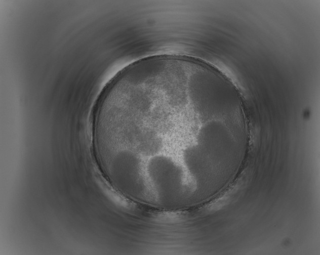 X0000094811078200711241440