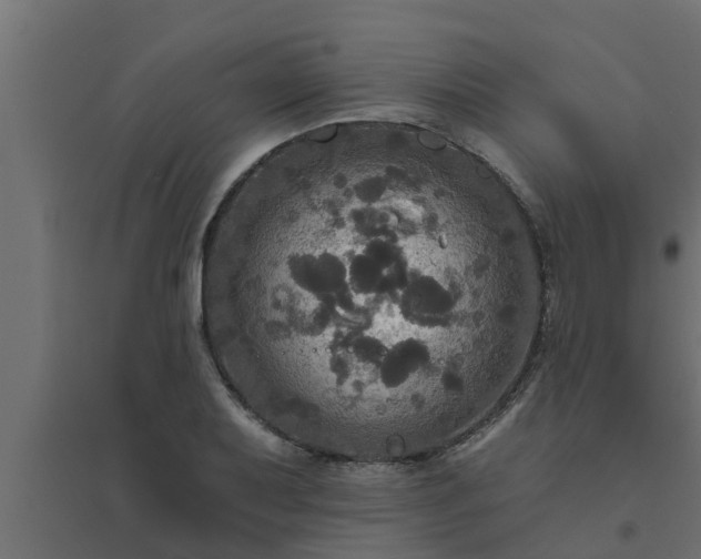 X0000094811079200711241440