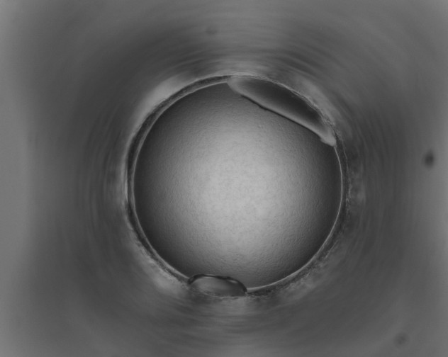 X0000094811080200711241440