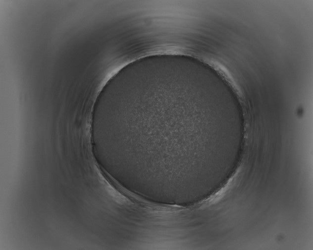 X0000094811081200711241440