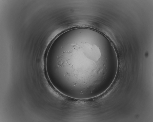 X0000094811082200711241440