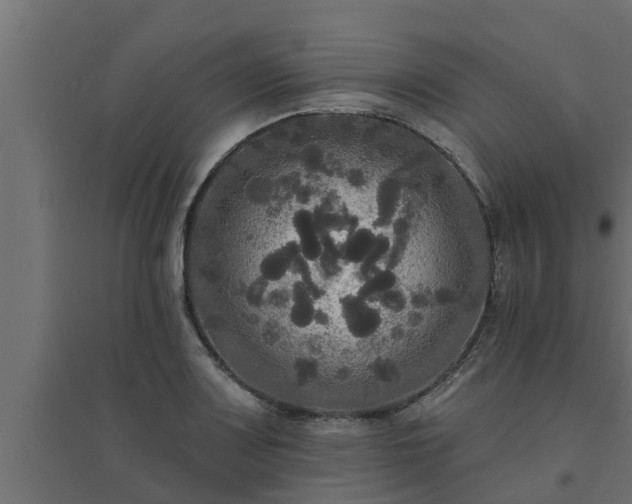 X0000094811083200711241440