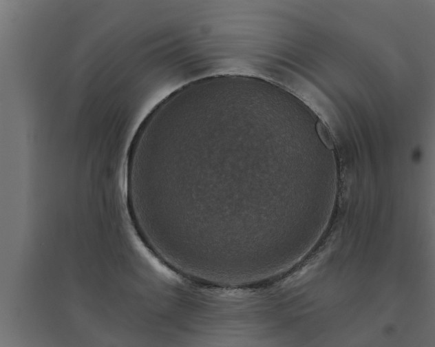 X0000094811084200711241440