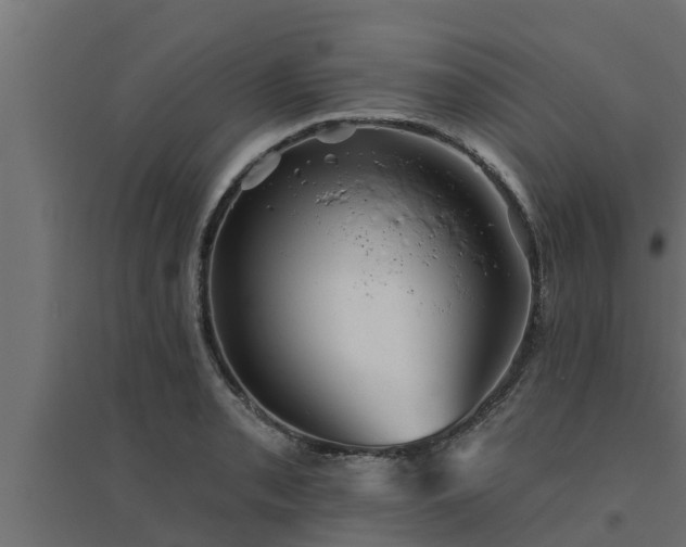 X0000094811085200711241440