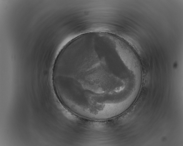 X0000094811086200711241440