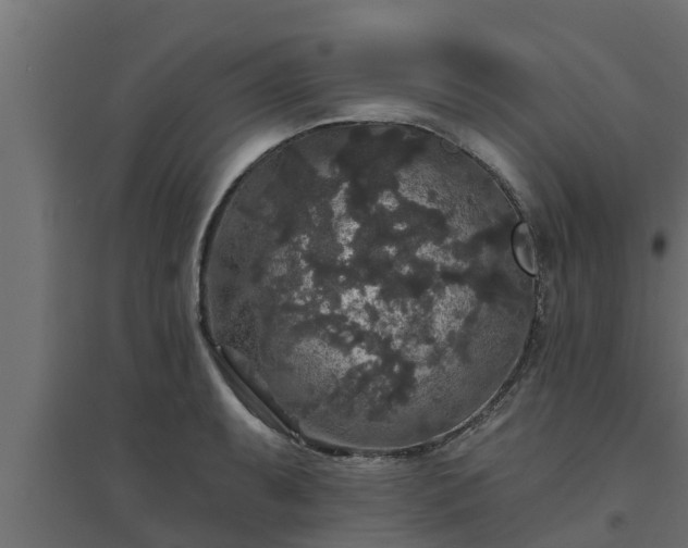 X0000094811087200711241440