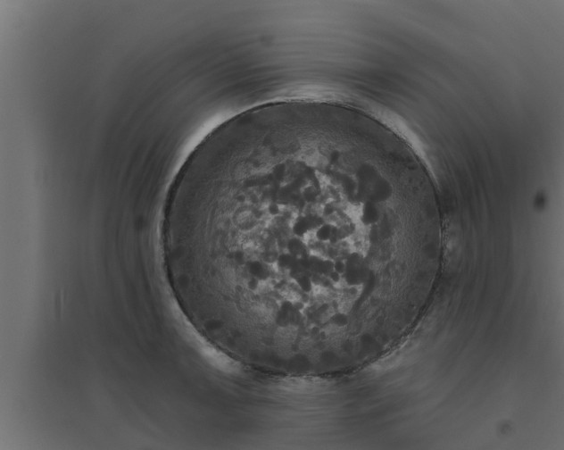 X0000094811091200711241440