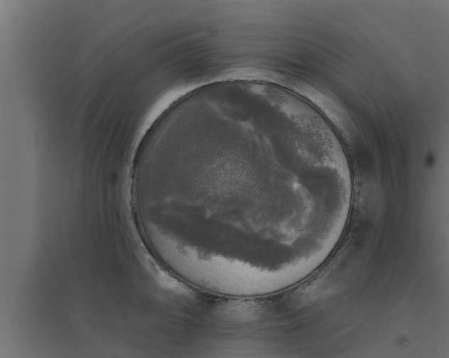 X0000094811094200711241440