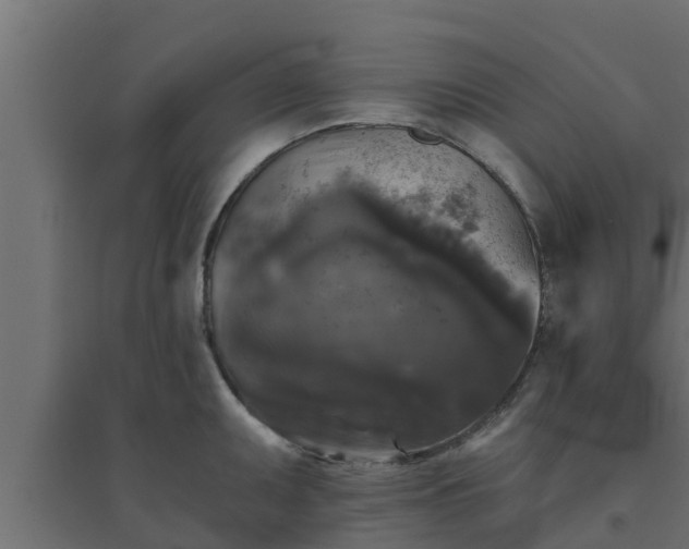 X0000094811095200711241440