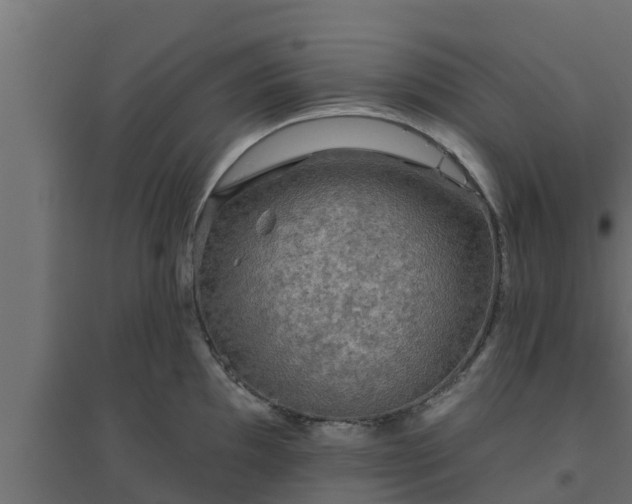 X0000094811097200711241440