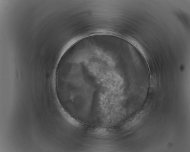 X0000094811098200711241440